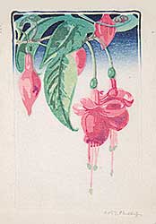 #112.5 ~ Phillips - Fuchsia