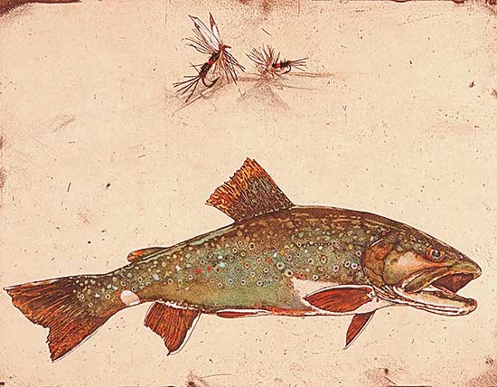 #348 ~ Cowin - Brookie [Western Trout Series]  #A/P