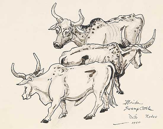 #482 ~ Kerr - Florida Swamp Cattle Rodeo
