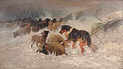 #217 ~ Valter - Sheep in a Snowstorm, The Rescue