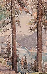 #38 ~ Goodall - View from Malahat, Mountain Highway, Vancouver Island B.C.