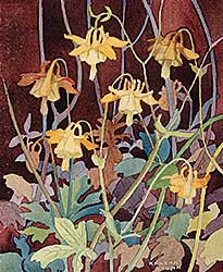 #420 ~ Brown - Untitled - Yellow Columbines