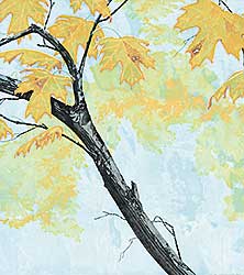 #466 ~ Garrett - Untitled - Autumn Leaves