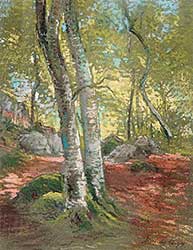 #34 ~ des Clayes - Forest en France [Spring Foliage]