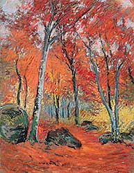 #35 ~ des Clayes - Forest en France [Autumn Colours]