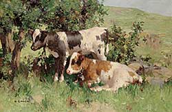 #211 ~ Gauld - Untitled - Two Calves at Rest [Lulu and Fifi]