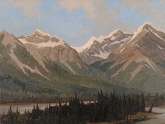 #534 ~ Wood - Bow River Valley