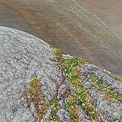 #350 ~ Voyer - Untitled - Mossy Rock