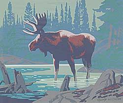 #410 ~ Casson - Moose