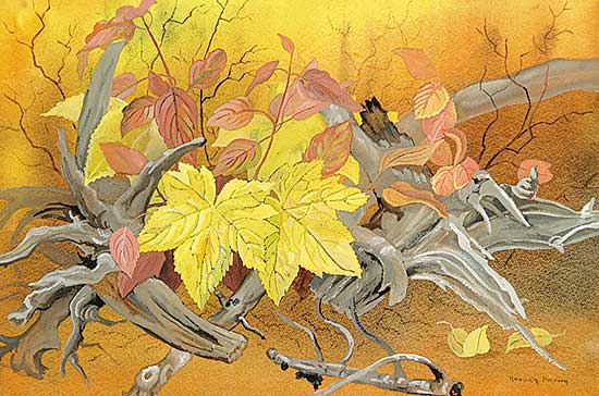 #12 ~ Brown - Untitled - Forest Floor in Autumn