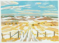 #603 ~ Snow - Prairie Fields  #13/50