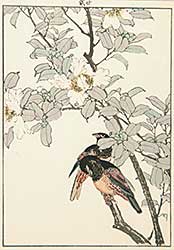 #213 ~ Keinen - Two Birds on a Branch with White Flower
