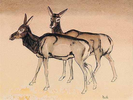 #464 ~ Kerr - Untitled - Female Elk