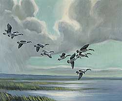 #401 ~ Adams - Untitled - Canadian Geese