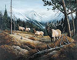 #432 ~ Fisher - Untitled - Herd of Elk