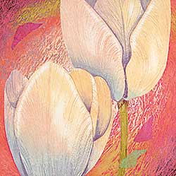 #47 ~ Kravjansky - Untitled - Tulips  #82/100