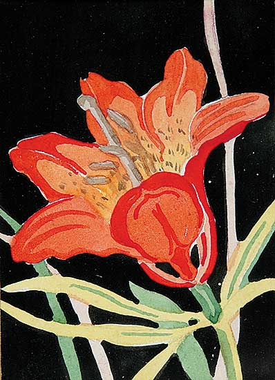 #822 ~ Brown - Untitled - Orange Tiger Lily
