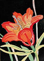 #822 ~ Brown - Untitled - Orange Tiger Lily