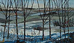 #965 ~ Van Belkum - Snow Fields
