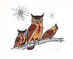 #79 ~ Knott - Owl Family  #37/100