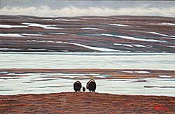 #11 ~ Brown - Untitled - Musk Ox on the Tundra