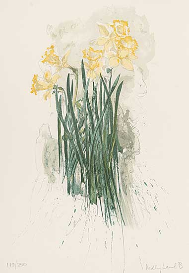 #19 ~ Bobak - Daffodils  #149/250