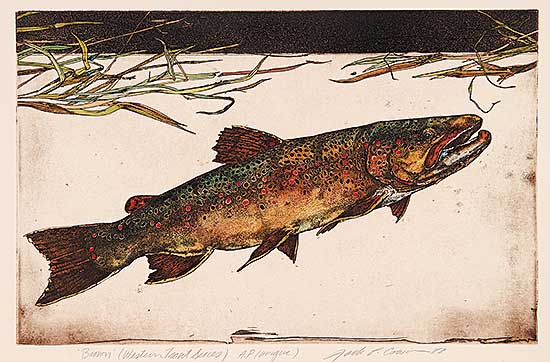 #34 ~ Cowin - Brown [Western Trout Series]  #A.P.