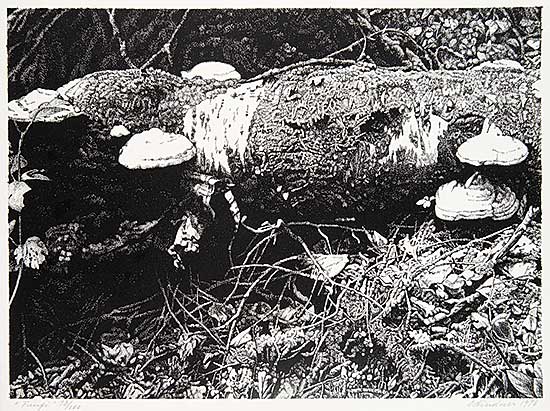 #69 ~ Lindner - Fungi  #73/100