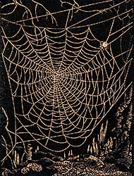 #67 ~ Lindner - Untitled - Spider Web