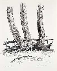 #70 ~ Lindner - Birches  #58/60