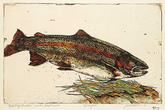 #424 ~ Cowin - Nymphing Rainbow [Western Trout Series  #A/P]