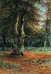 #134 ~ Verner - Beech Tree, Burham, England
