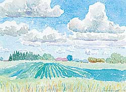 #521 ~ Perehudoff - Spring Fields, June 1983
