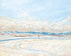 #50 ~ McInnis - Prairie Fields under Snow