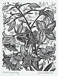 #209 ~ Brender a Brandis - Asiatic Hybrid Lily