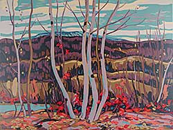 #379 ~ Jackson - Untitled - Maple and Birch