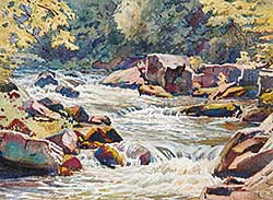 #412 ~ Brigden - Rapids on the Credit River Near the Forks