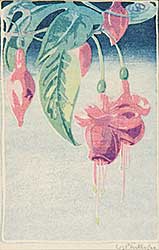 #453 ~ Phillips - Fuchsia