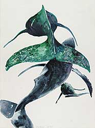 #269 ~ Uccello - Untitled - Three Whales