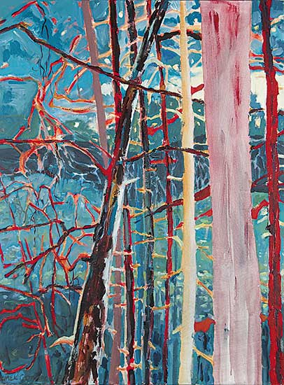 #306 ~ Cormack - Untitled - Colourful Forest
