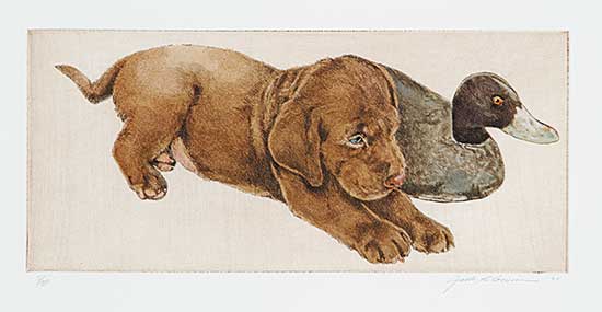 #462 ~ Cowin - Untitled - Puppy and Decoy  #8/50