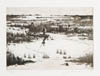 #462.6 ~ Cowin - Untitled - In the Marsh  #A/P 1/10