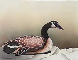 #192 ~ Poirier - Canada Goose
