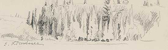#460 ~ Lindner - Untitled - Tree Sketch