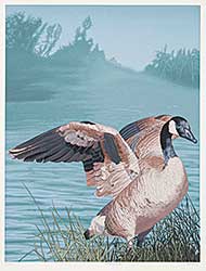 #667 ~ Estin - Canadian Goose  #45/200