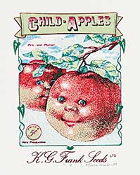 #675 ~ Frank - Child Apples  #1/7 II