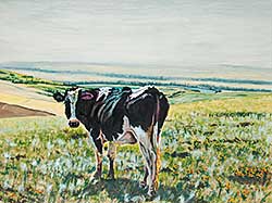 #776 ~ Olson - Cow Above Cochrane