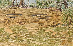 #801 ~ Perrott - Untitled - Sandstone Outcrop
