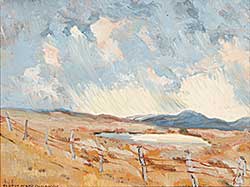 #643 ~ Ellison - Untitled - Prairie Storm