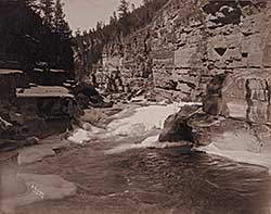 #73 ~ Pollard - Elk River, B.C.